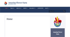 Desktop Screenshot of amazingflowerfarm.com